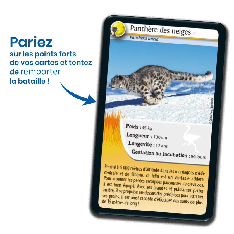 Défis Nature – Records des animaux – Bioviva – Image 4