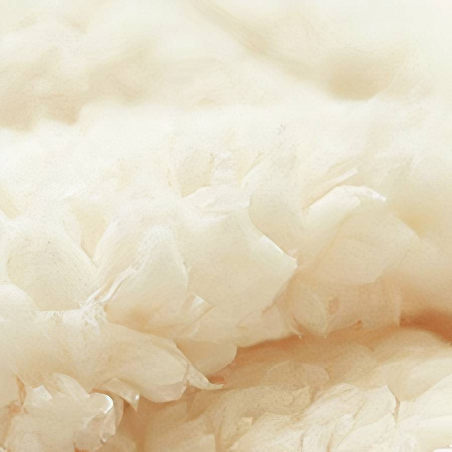 Sac de couchage rembourré pour chat, tissu matelassé
